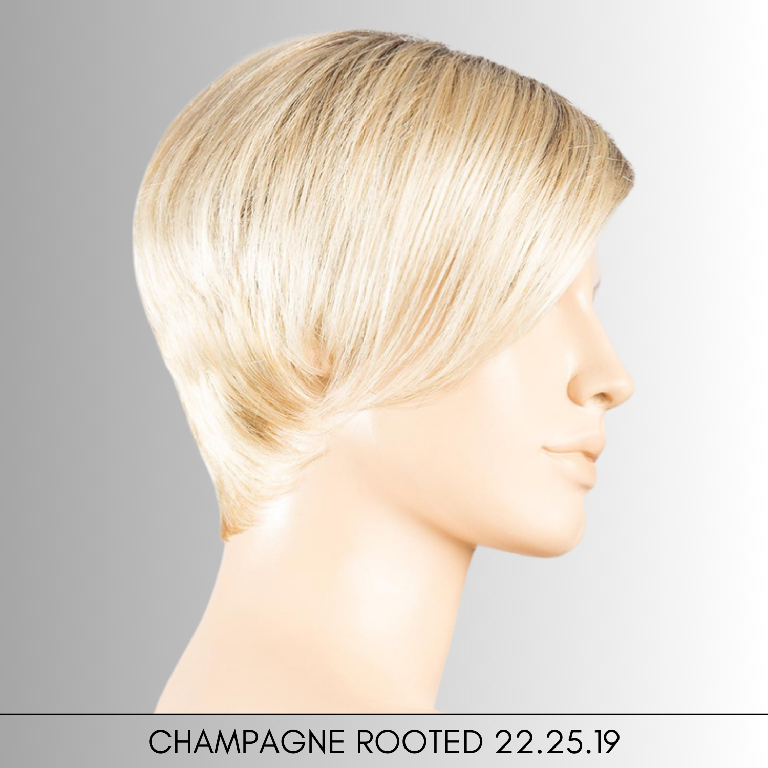 Disc  - Hair Power Collection by Ellen Wille