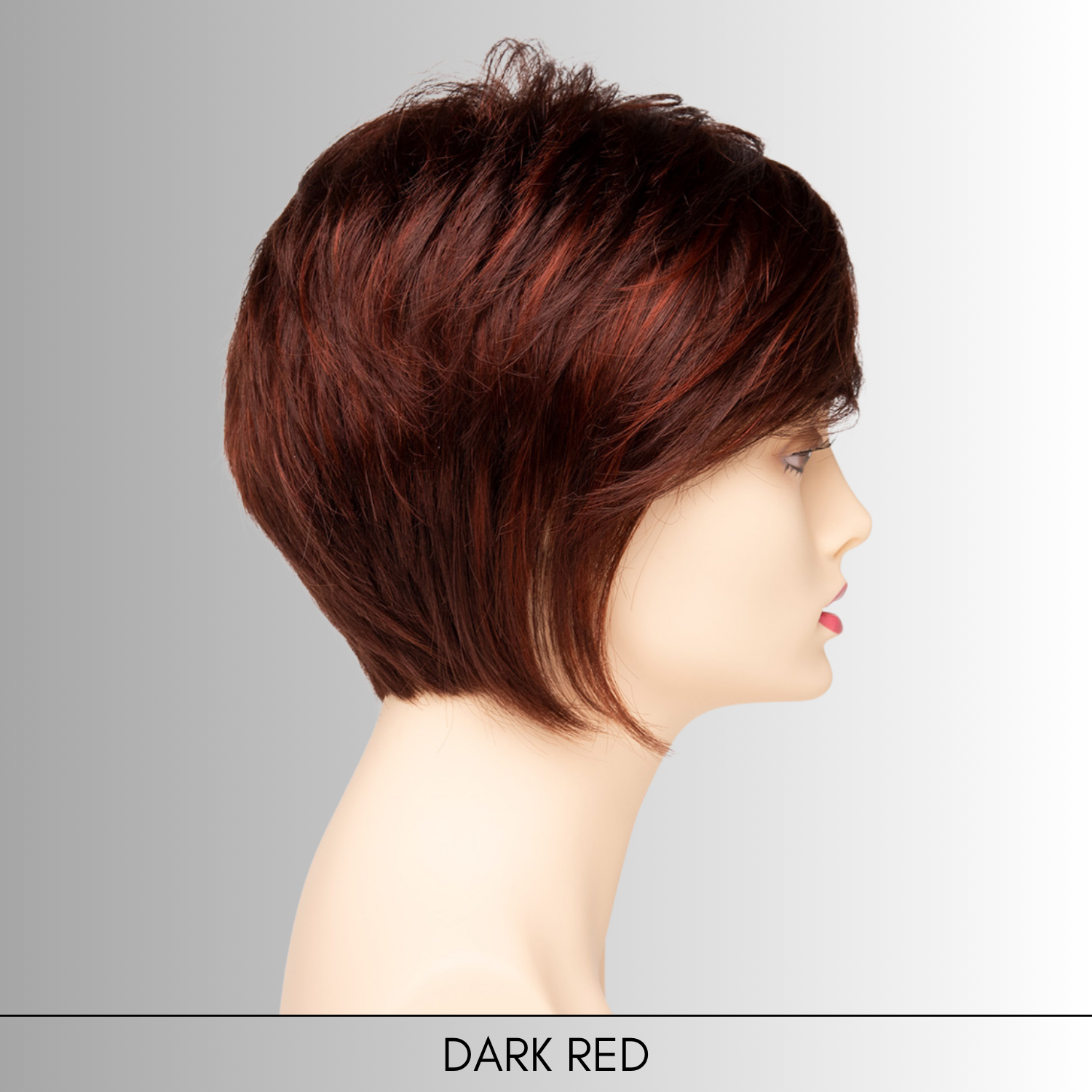 Chantel - Synthetic Wig Collection by Envy