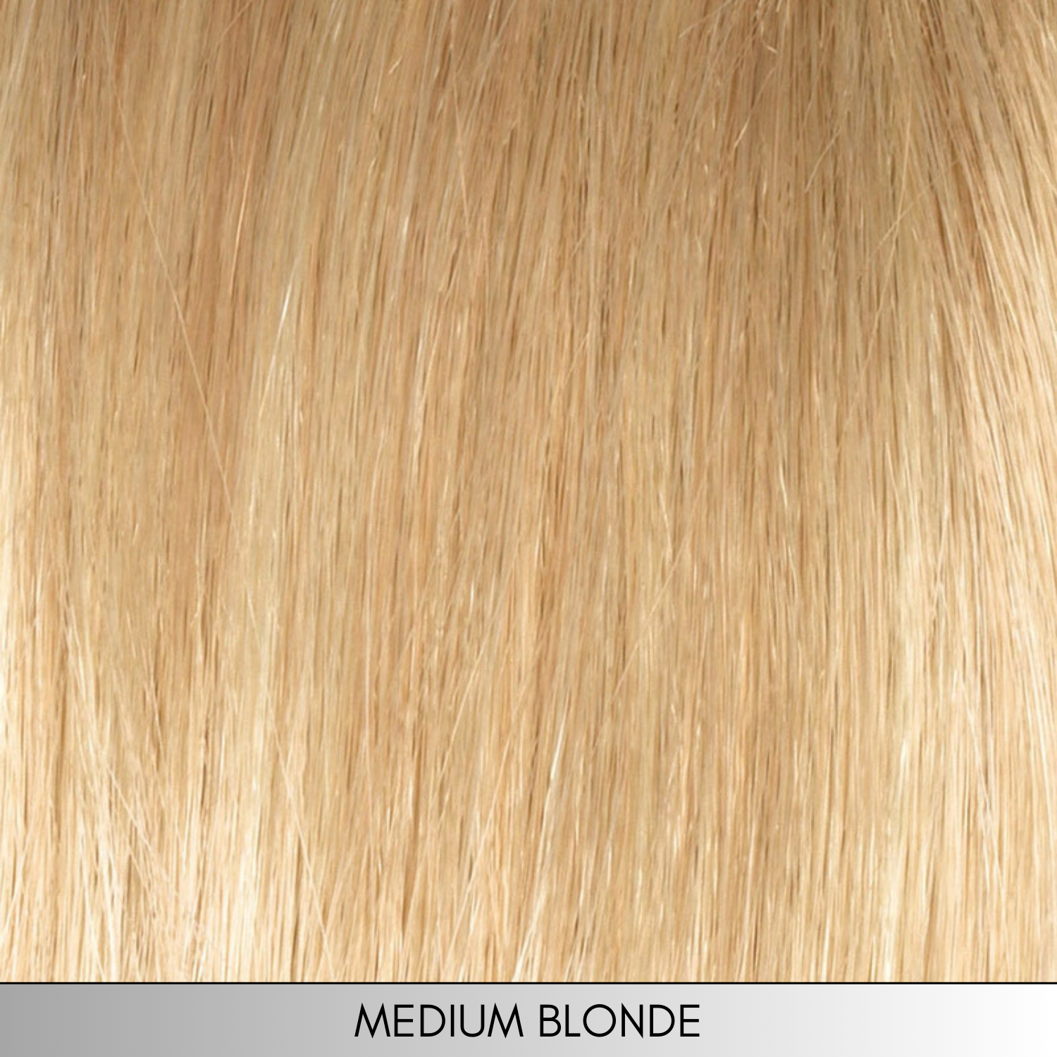 Kari - Synthetic Wig Collection by Envy