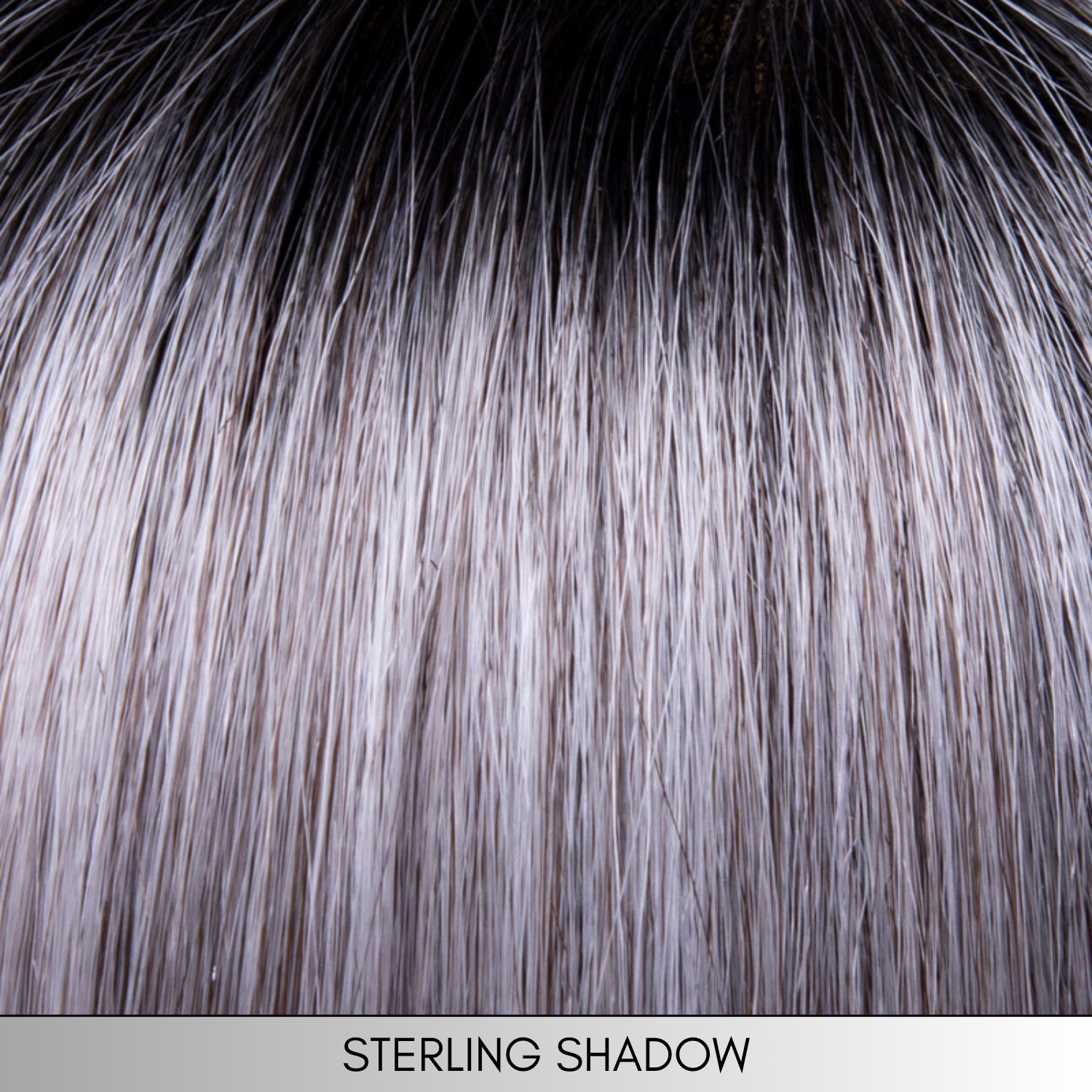 Marsha in Sterling Shadow - Synthetic Wig Collection by Envy ***CLEARANCE***