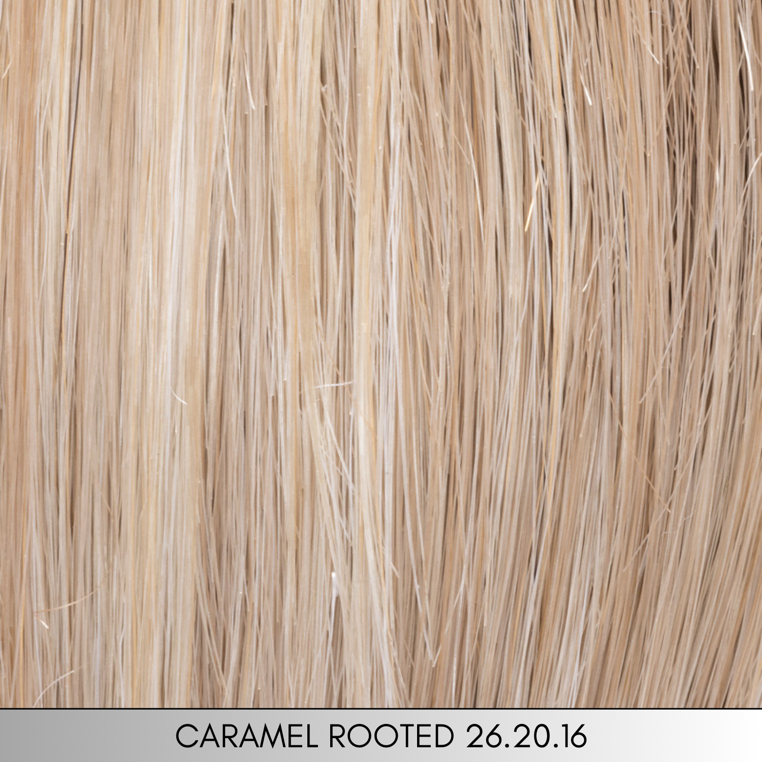 Lace Top - Top Power Collection by Ellen Wille