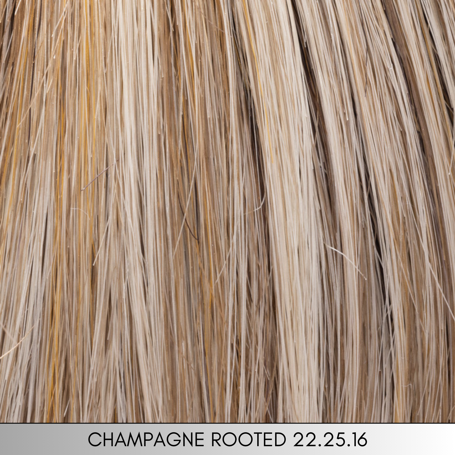 Lace Top - Top Power Collection by Ellen Wille