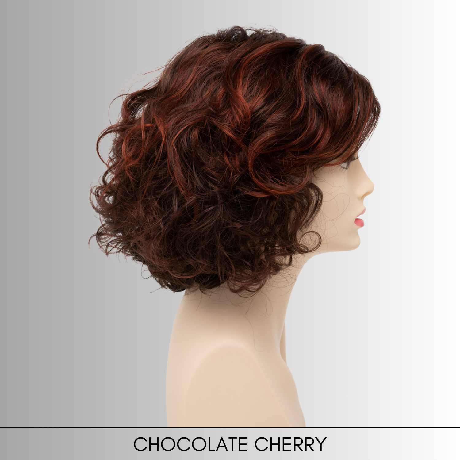 Bianca - Synthetic Wig Collection by Envy