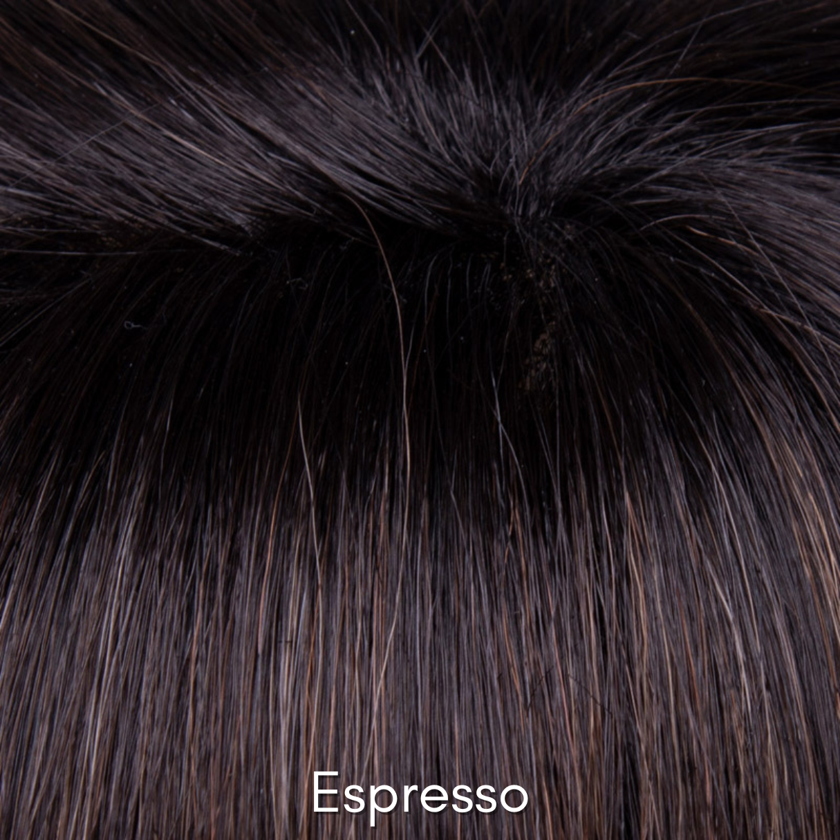 Kari in Espresso - Synthetic Wig Collection by Envy ***CLEARANCE***